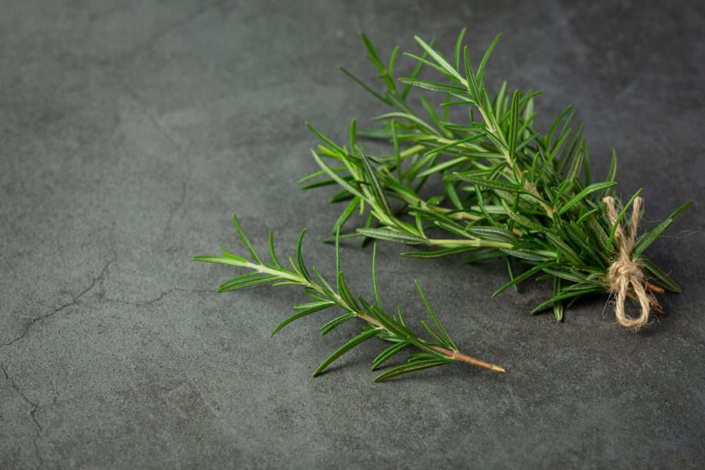 Rosemary Benefits and Uses: Promoting Hair Health